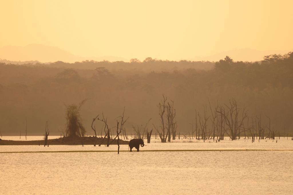 Evolve Back Kabini Hotel Begur Bagian luar foto